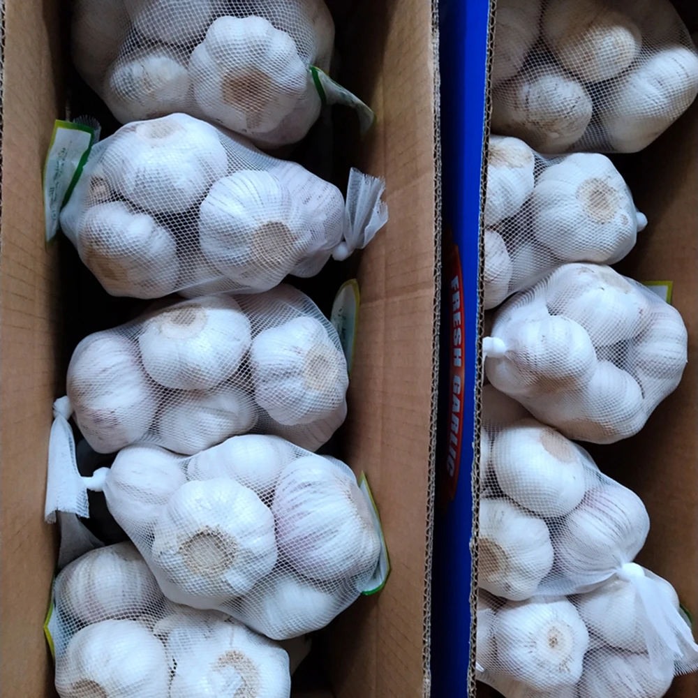 Fresh Normal White Garlic Pure White Garlic