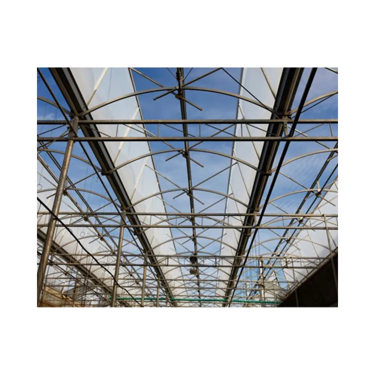 Professional Manufacture Promotion Price Greenhouse Continuous Venting System