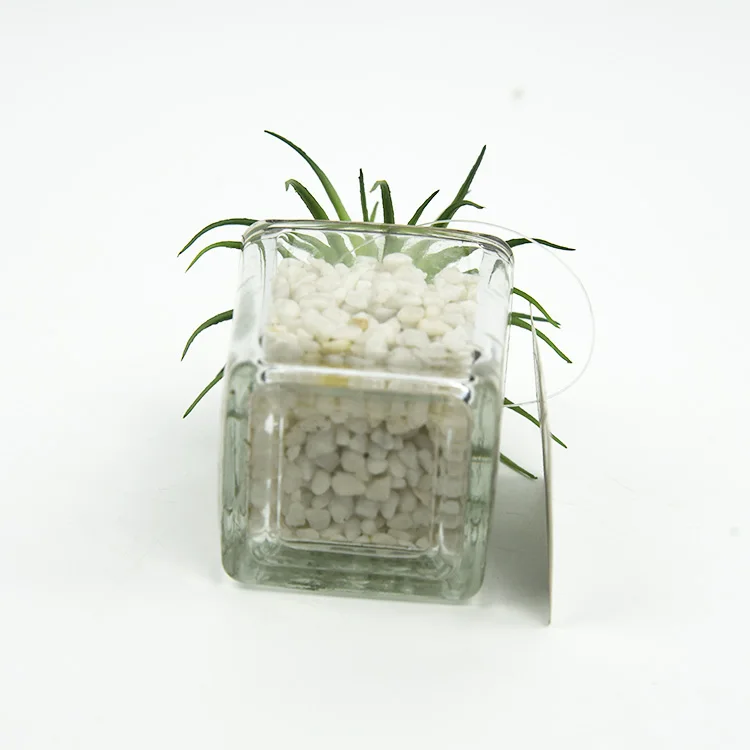 Home office decor glass transparent artificial mini succulents plants for sale