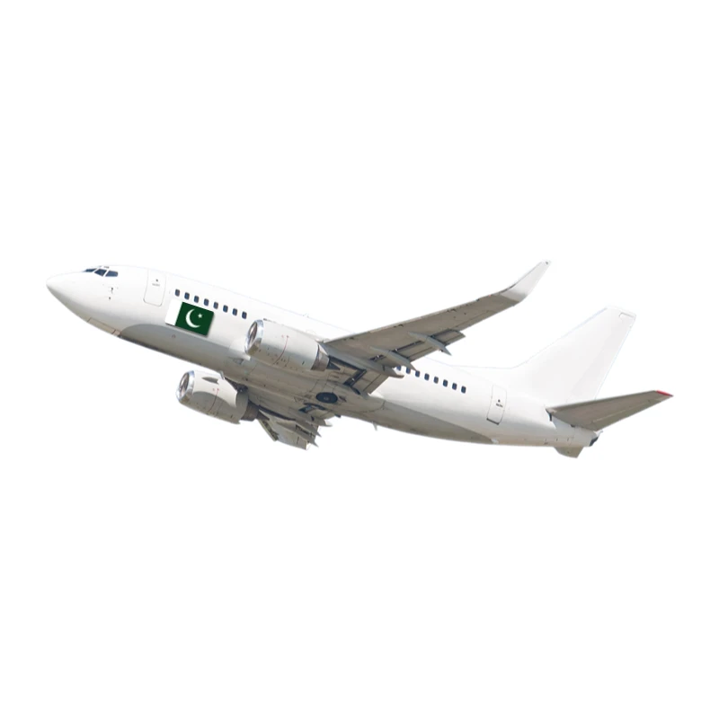 DDP DDU International Logistics Company Door to Door to Pakistan DDU Shipping DDP Shipping