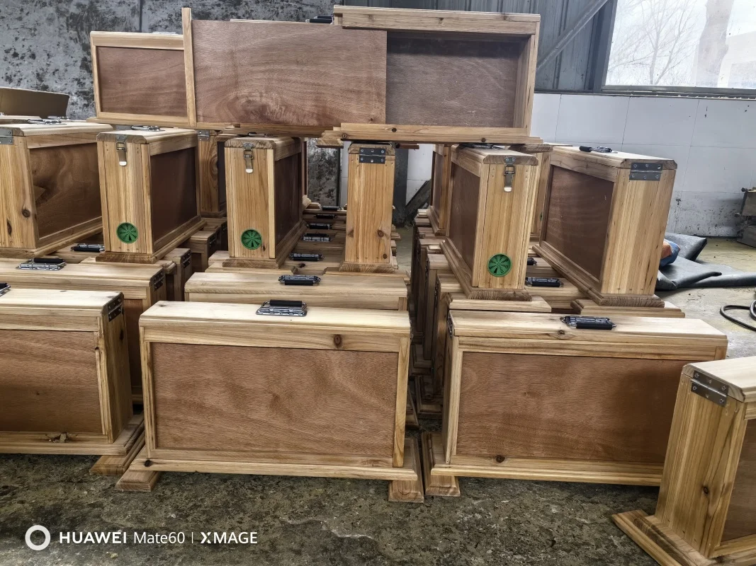 Оборудование для пчеловодства Образовательное наблюдение улей деревянный прозрачный ящик