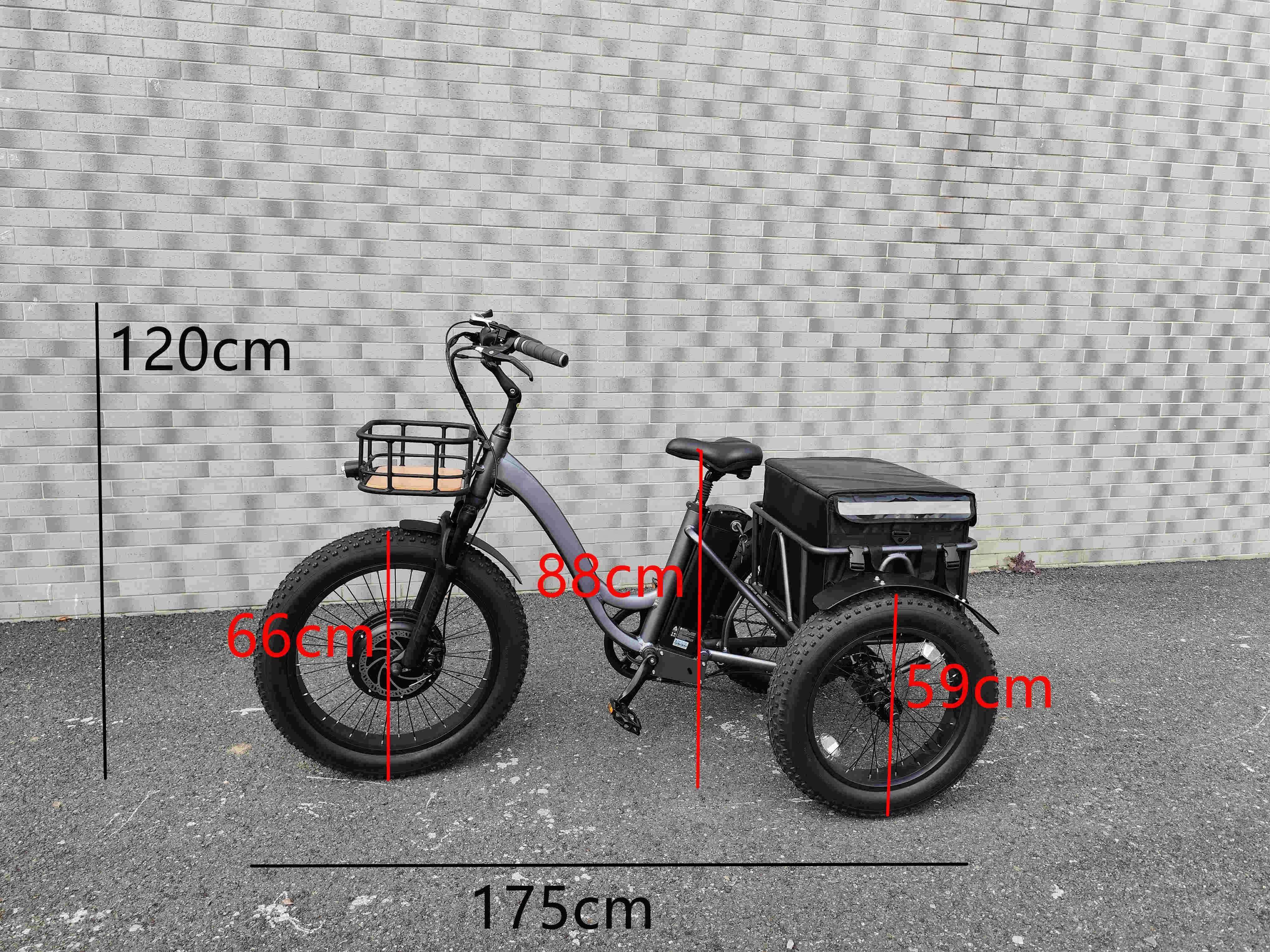 Customized And Comfortable 48V1000W Electric Tri E Tri cycle Tricycle Electric Bike Motorized Tricycles