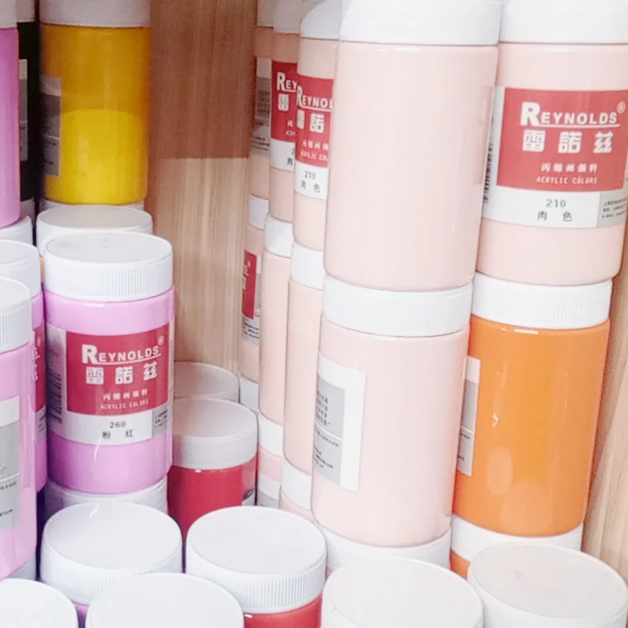 Rayloz acrylic paint hand-painted wall painting 300ml 10 kg VAT waterproof painting paint art special