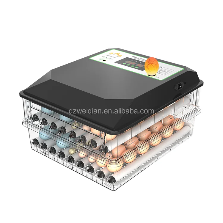 automatic roller Newest design 48 eggs incubator hatching machine for family use automatic egg incubator egg incubators