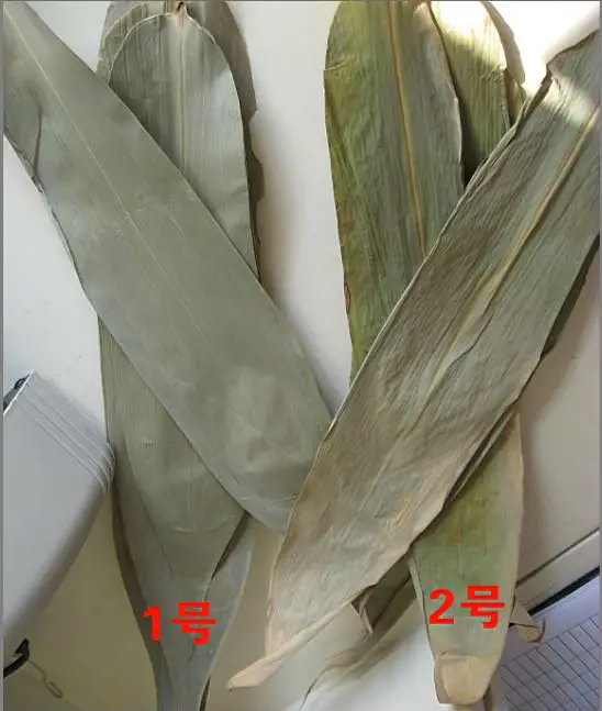 Premium Quality Raw Dried Green Natural Whole Bamboo Indocalamus Leaf