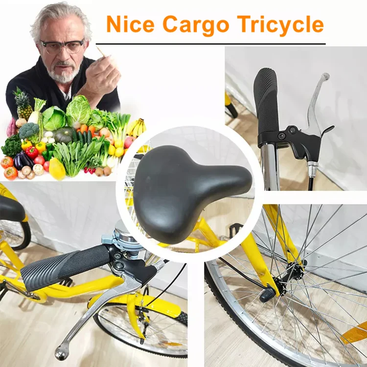 Adult Tricycle