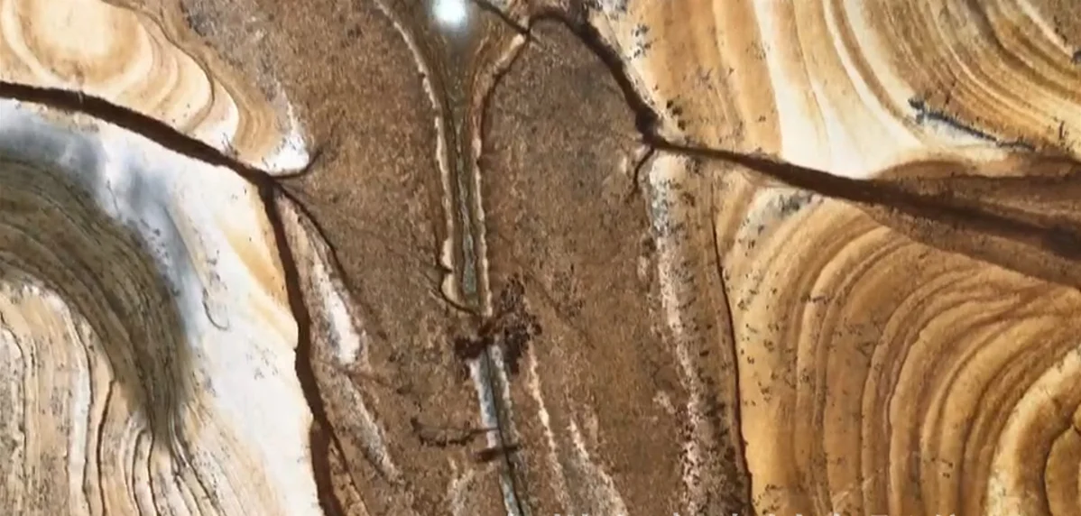 Natural Marble Wall Slab Marble Countertop Tabletop