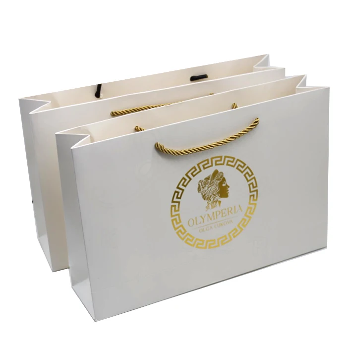 11 shopping paper bag.jpg