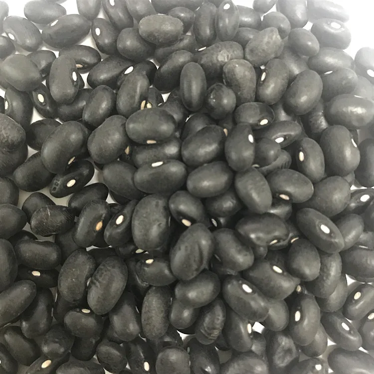 
Chinese organic black kidney bean black bean price 