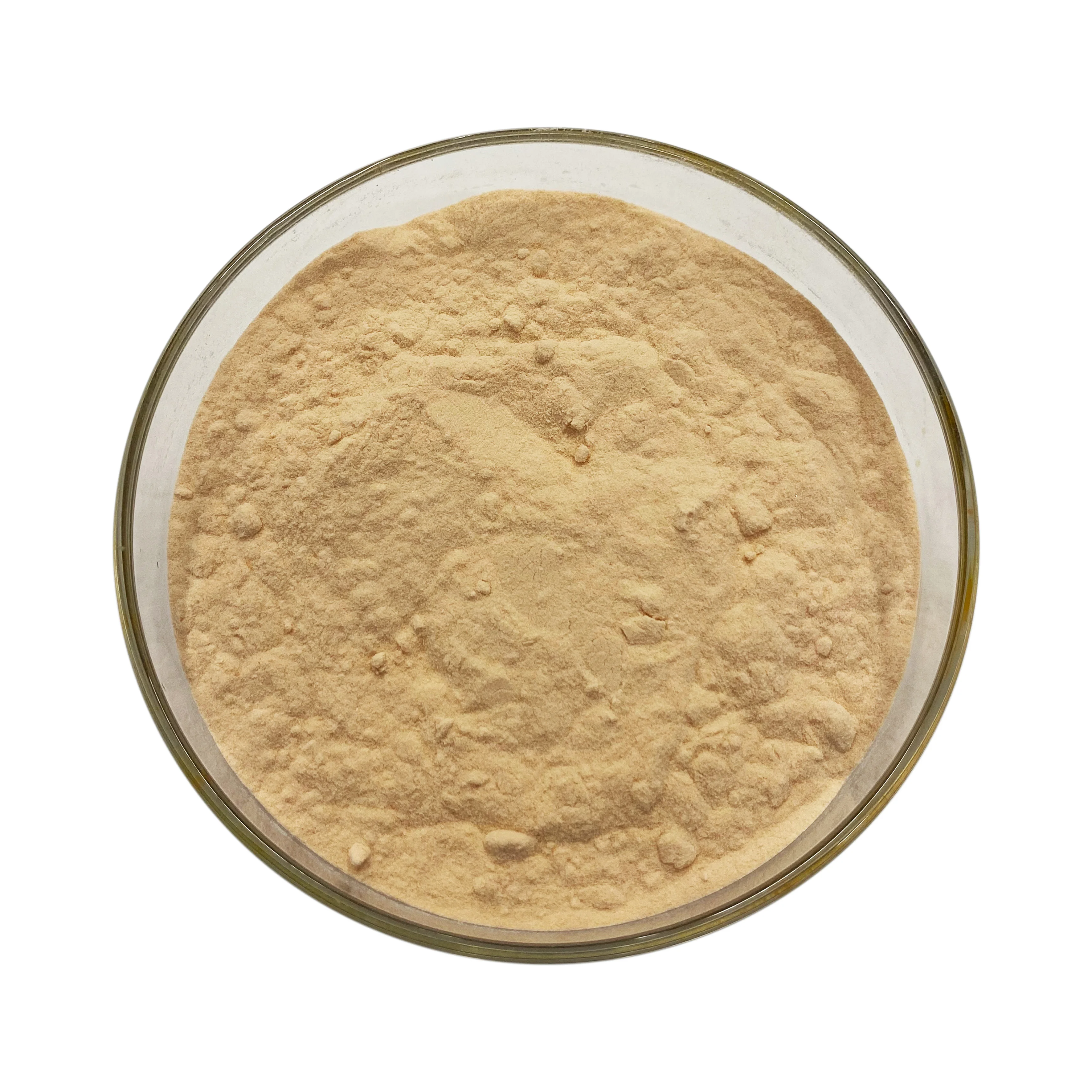
Whole Sale natural antioxidant foods organic opc 95% grape seed extracts powder 