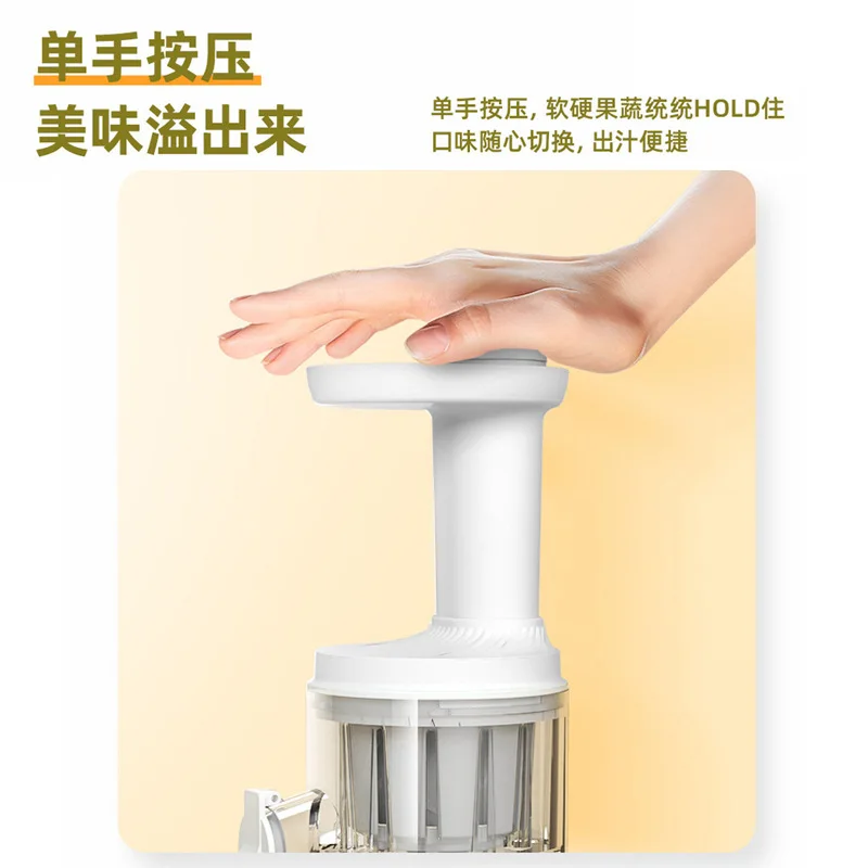 Cold Press Juicer hot selling 2025 New Coming Factory Slow Masticating Fruit Extractor With Bpa Free eco-friendly Washer Safe