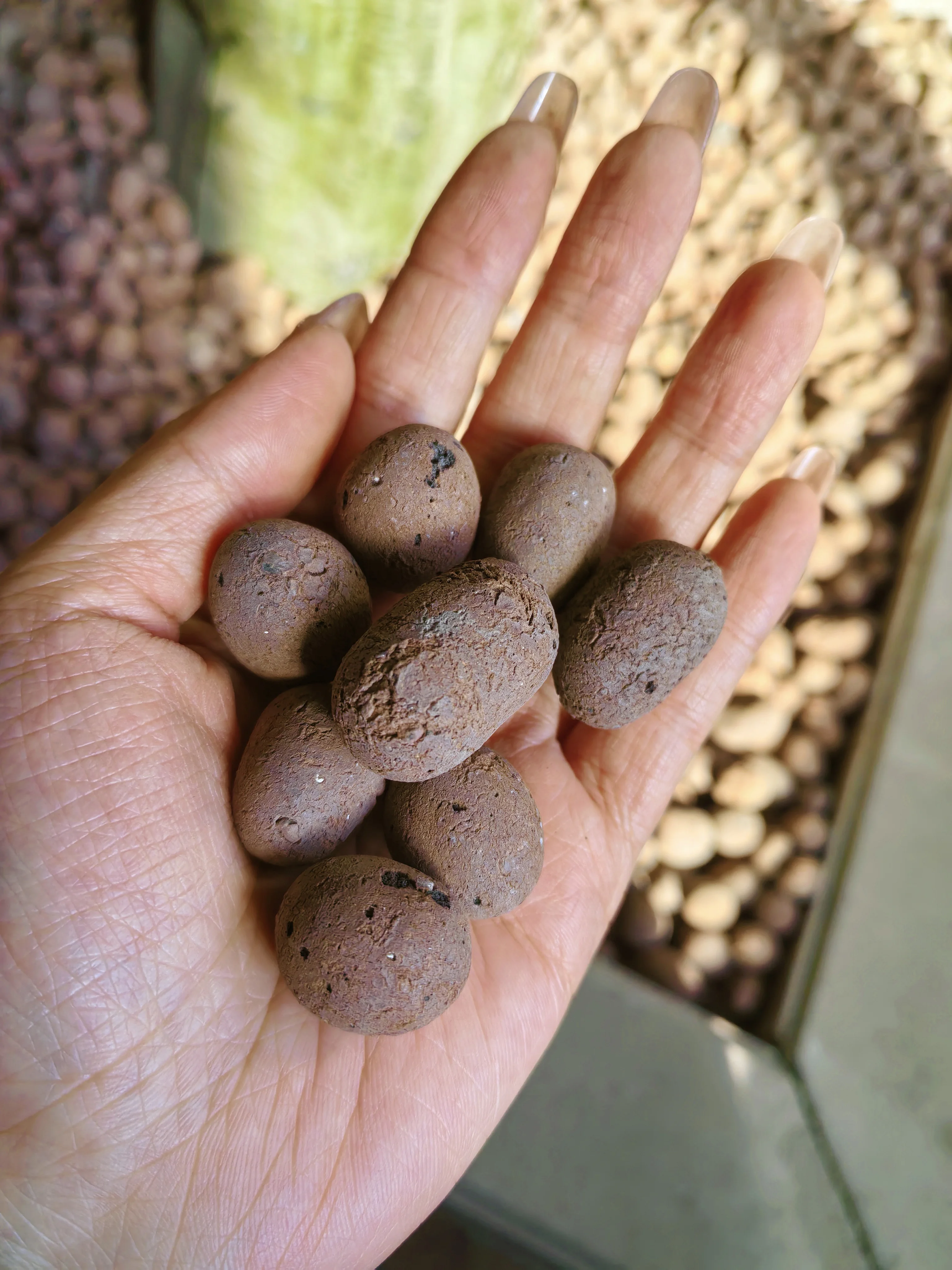 Factory Direct Quality Wholesale Hydroponic Clay Balls Ceramsite for Concrete Masonry Materials