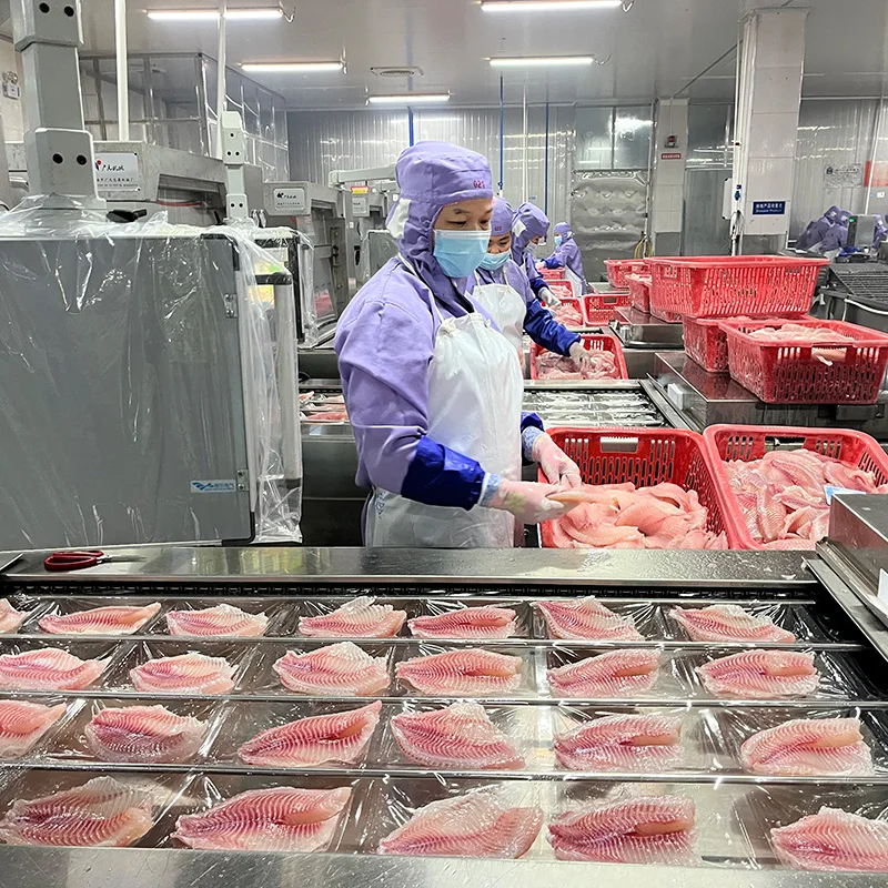 Low price frozen tilapia fish fillet filete de tilapia frozen fillets export tilapia fillet skinless