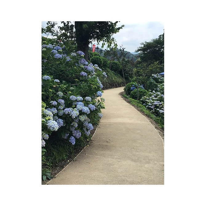 Садовые грунты