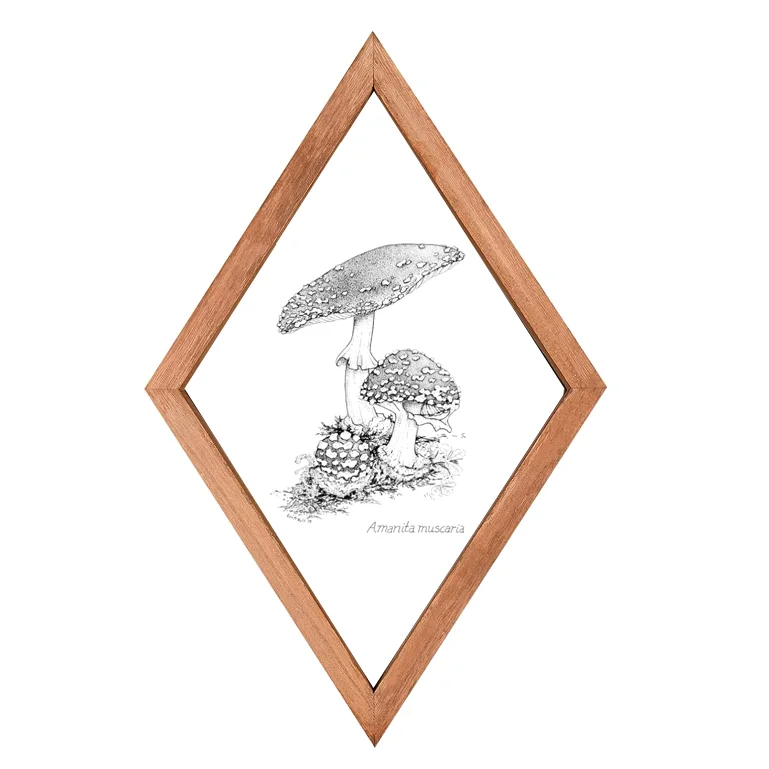Mushroom Wall Decor Farmhouse Home Wall Decor Wood Diamond Frame Mushroom Aesthetic Art
