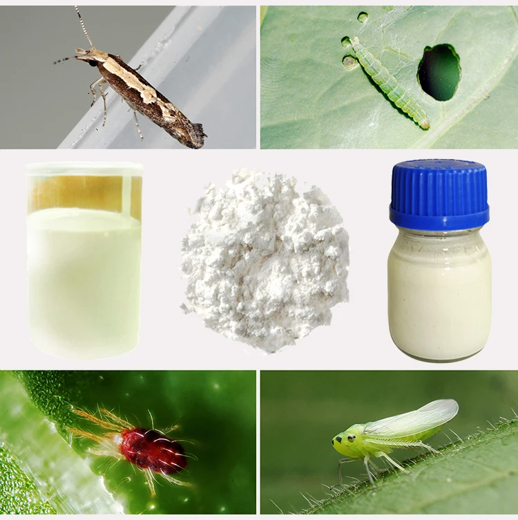 diafen1c 7502 GREY.jpg