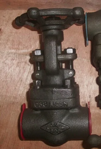 Forged Carbon Steel A105 Gate Valve 300PSI Flanged End