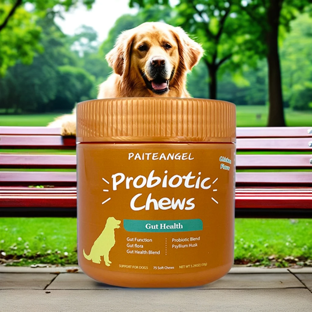 Premium Probiotic Chews for Pets Effective Pet Health Care & Supplement
