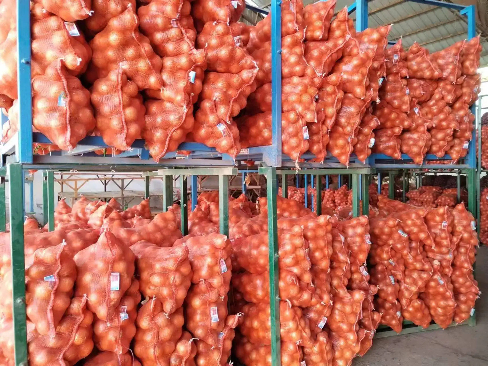 Buy Red Onion Chinese Fresh Yellow Onion Mesh Bag Price