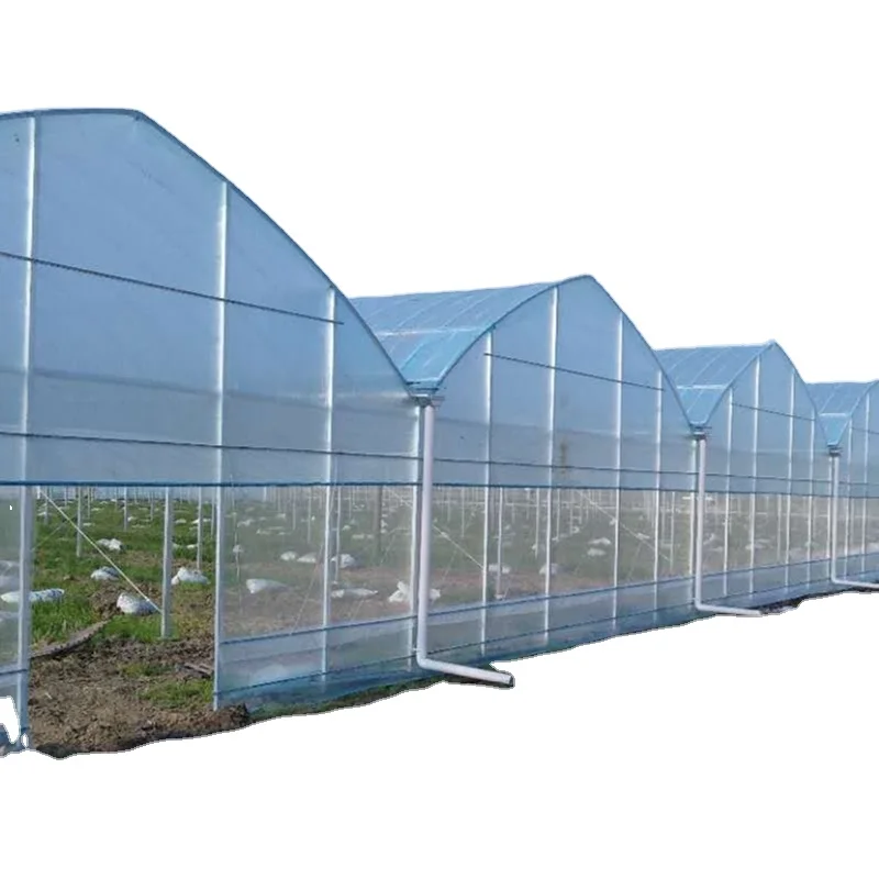 Легкая сборка Skyplant лист теплицы лучшие продажи