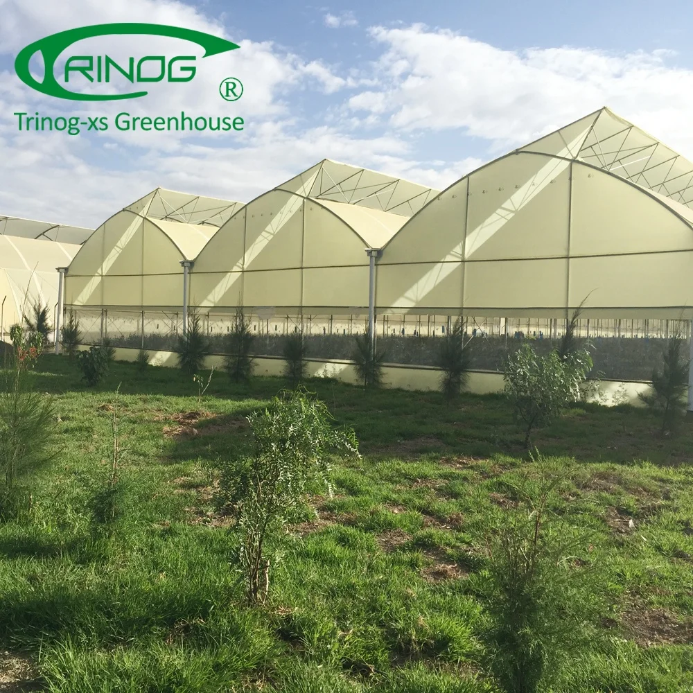 Trinog Design folding portable greenhouse for sale