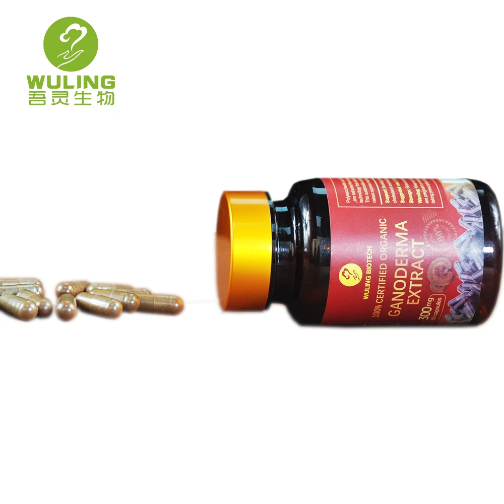 Hot Ganoderma Lucidum Plant Extract Capsule Relieves AllergiesShell Broken Lingzhi Red Reishi Spore Powder heathcare supplement