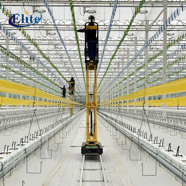 Greenhouse tractor agriculture equipment and tools hand carts & trolleys