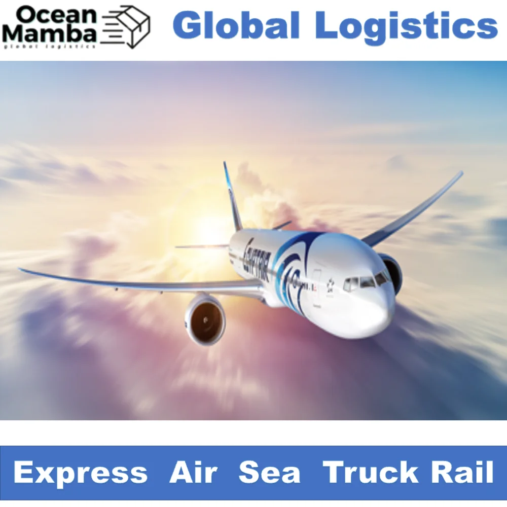 Ocean Mamba logistic service equipment to Azerbaijan India logistics services