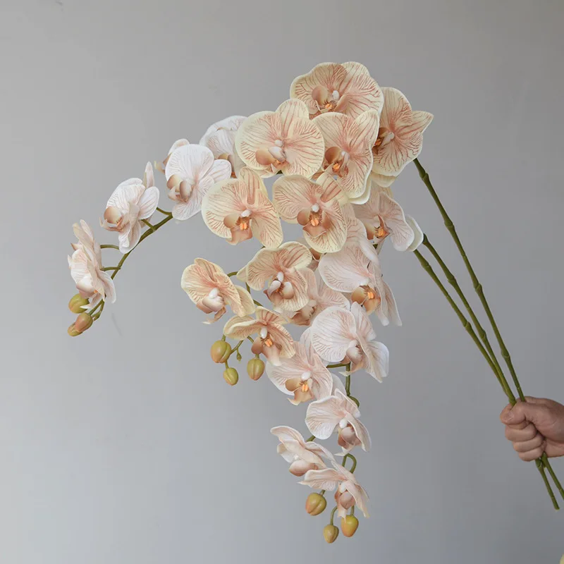 Direct Wholesale 7-9 Head Real Touch Latex Artificial Butterfly Orchid Phalaenopsis