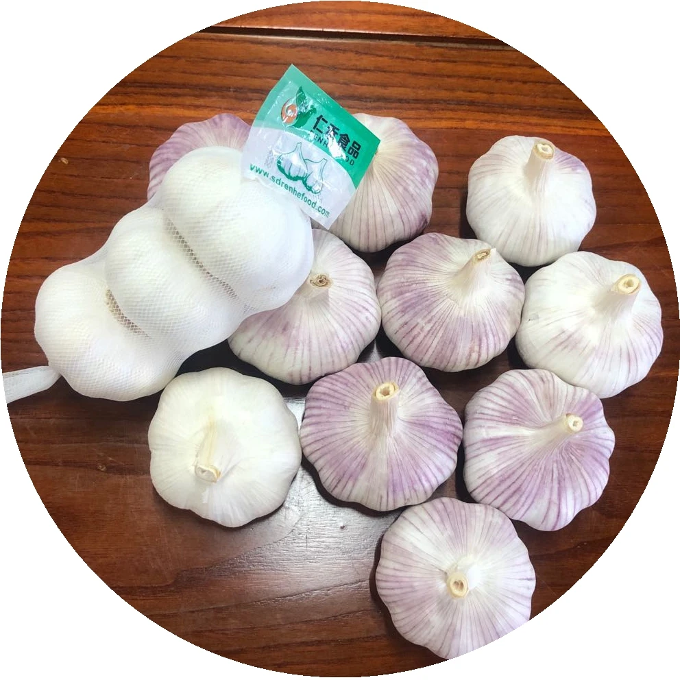 China Fresh Ail Frais Normal/pure White G1 Red Garlic Seed 10kg Ajo Fresco Chino Alho Chinese Export Low Price With Gap