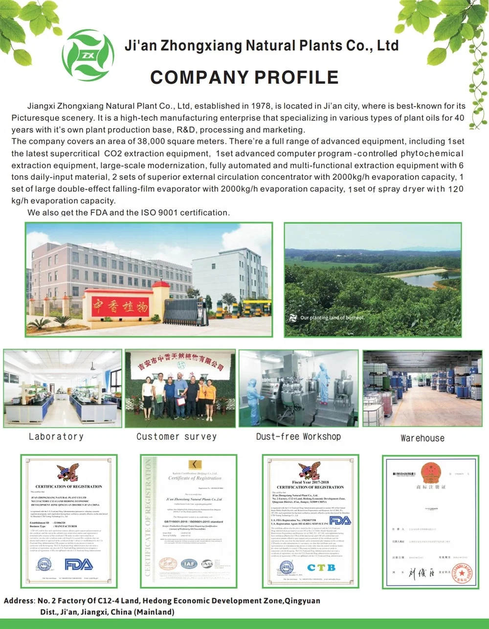 Wholesale Supply 100% Pure & Natural Olive Carrier Oil for Skin & Hair Care | Cosmetics Grade Oil for Bulk Quantity