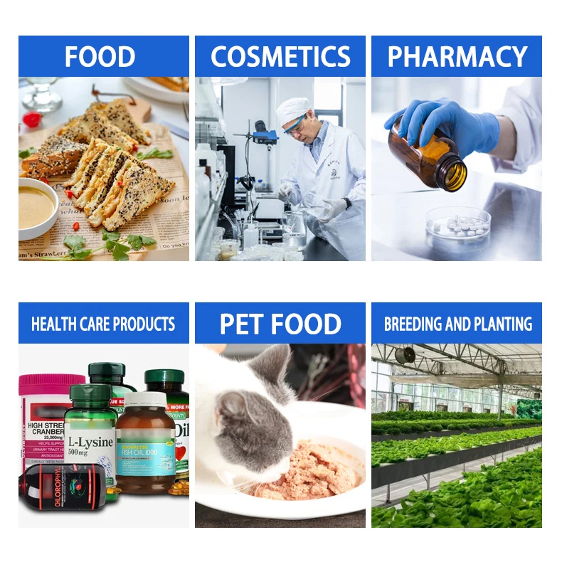 Factory Price SAP Super Absorbent Polymer CAS 9003-04-7 Sodium Polyacrylate for Lady Pad