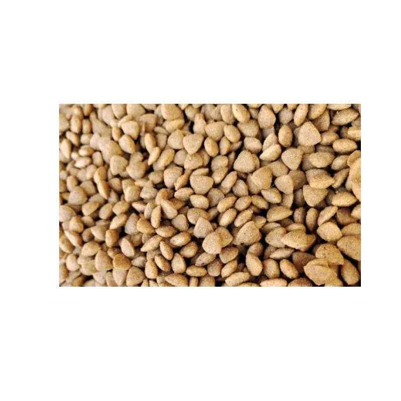 Small Pellet Machine For Granular High Productivity Complete Animal Poultry Feed Mini Processing