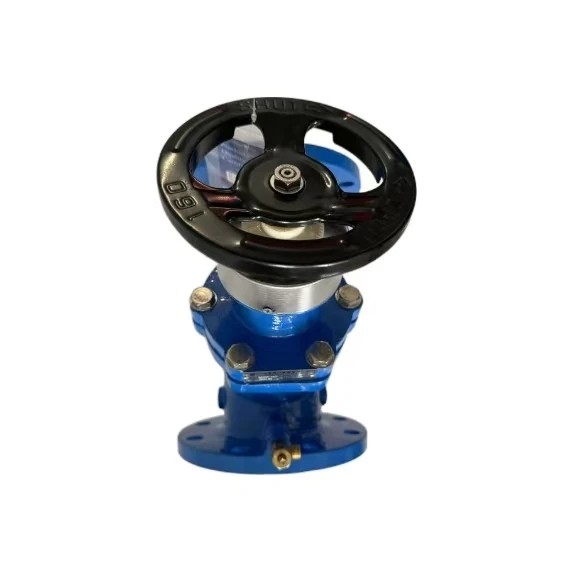 Electric Multi-Functional Liquid Flow Control Valve for Water Media with Lock Feature