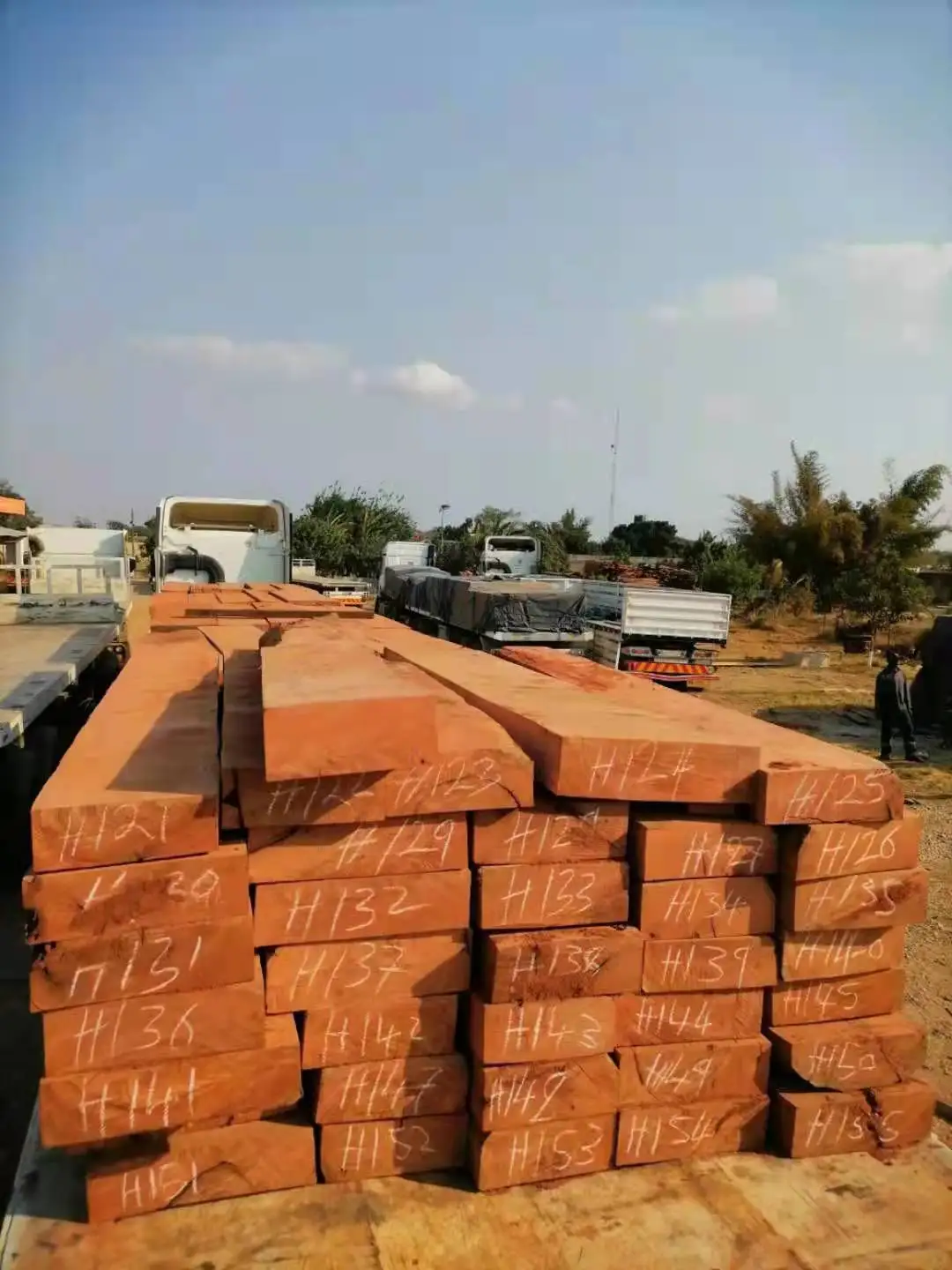 Hot Sales Zambia Mussibi/Mussivi Sawn Timber Logs for Furniture Boat Customized /Quality/ Factory Price