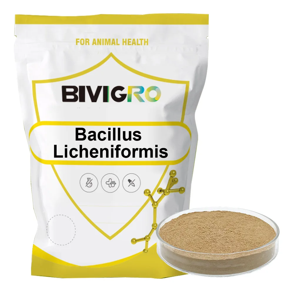 Manufacturer Animal Probiotic Bacillus Subtilis Bacillus Licheniformis Yeast 1x10^11 cfu/g
