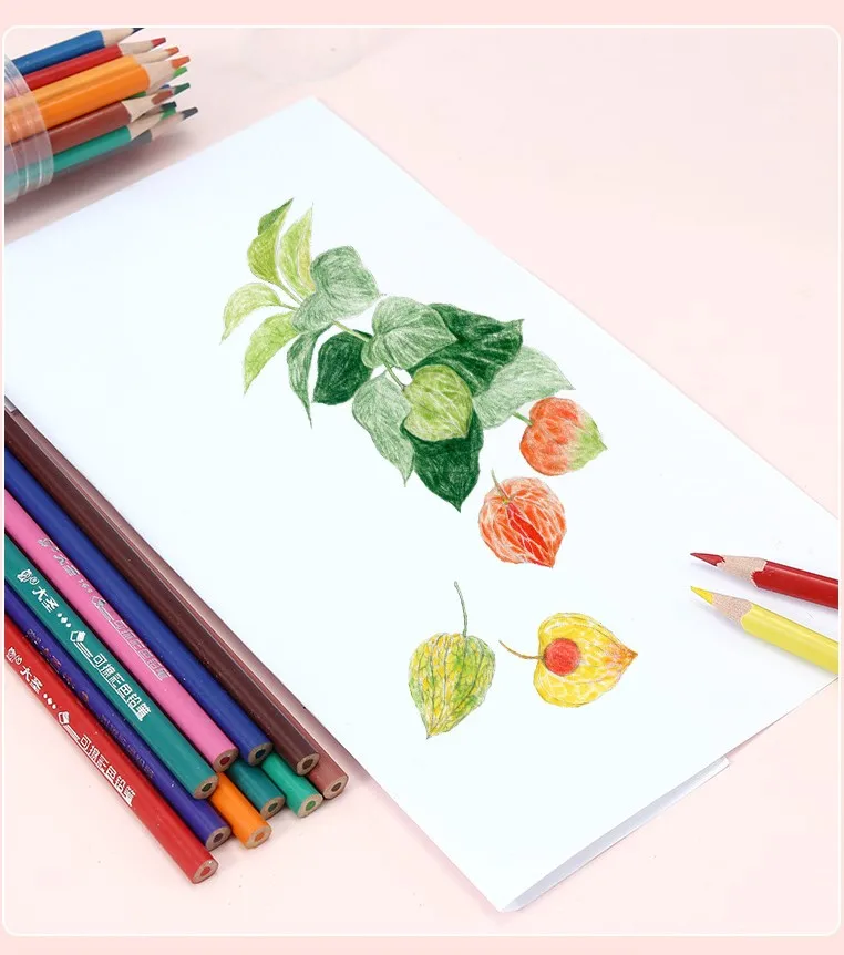 DASHENG Hot Sale 12 18 24  36 Colors Wood Free Colored Pencils in Plastic Tube for School Student Kids Girls and Boys