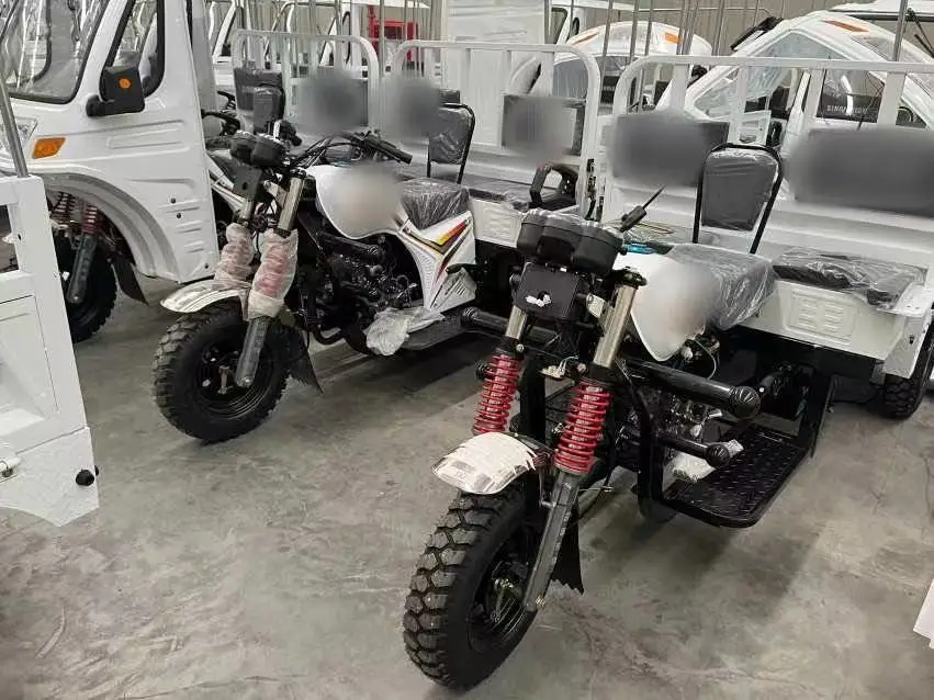 ZongShen CQ1 OEM High-quality Wholesale Motorized Tricycle Gasoline Engine Cargo Adult Enclosed Electric Delivery Trike