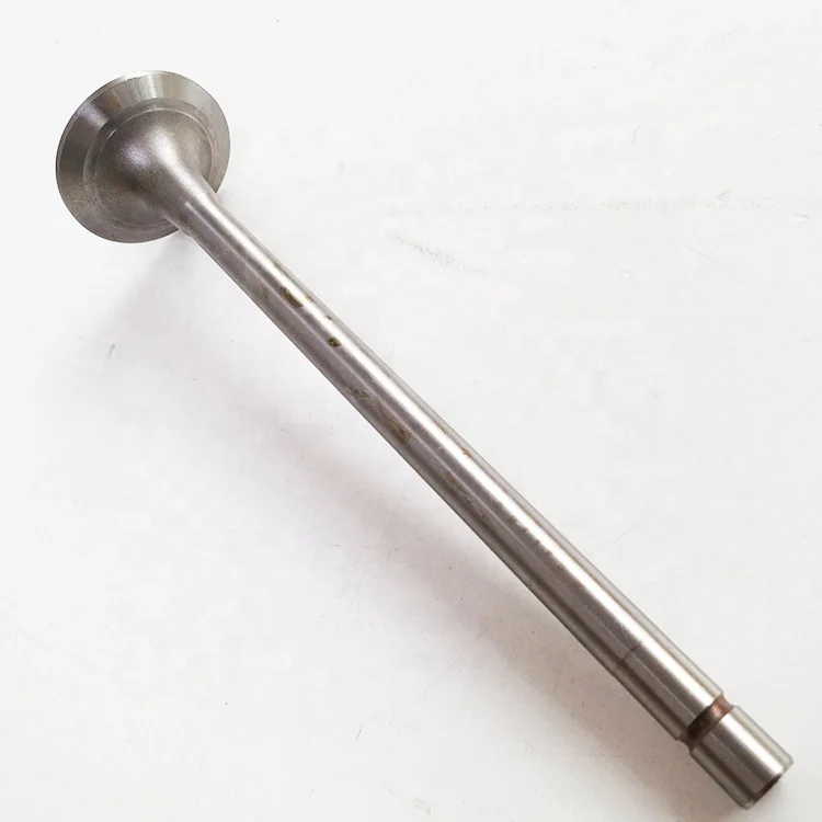 Heavy Duty Truck Diesel Engine Parts Natrual Gas Intake Valve 3033234