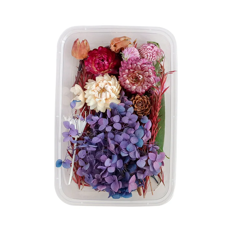 Plastic Boxed Mini Preserved Dried Candle Making Flower Small Dry Flowers for Resin Chinese New Year Bag Carton 100 50g 13*18cm