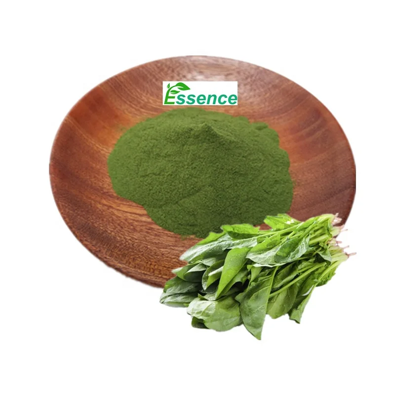 Food Grade Natural Organic Vegetable Juice Powder Spinach powder