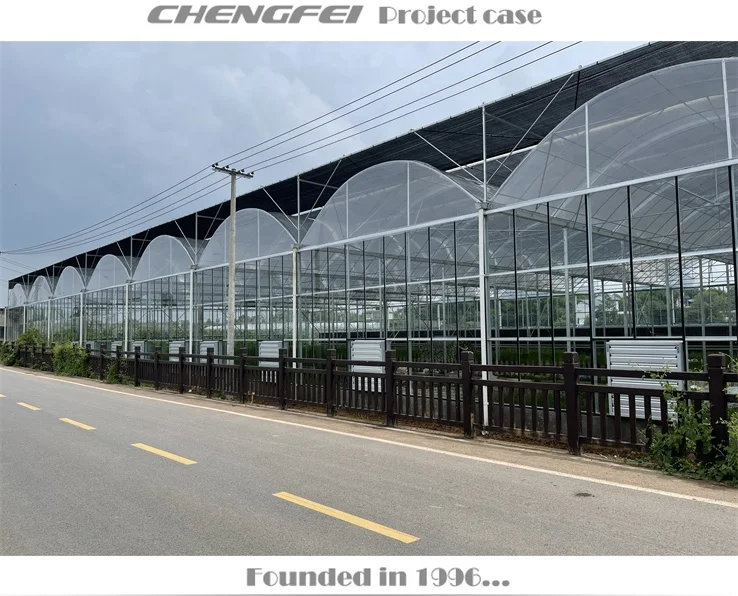 Customizable size Agricultural Low Cost Plastic Film Covered Sawtooth Greenhouse