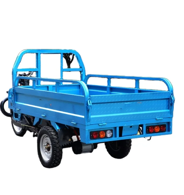 Adult 3 Tricycles Wheel Wheels For De Food With 7 Speed Baby Bike Scate Board Moyeu Roue Truck Shop 60V Electric Cargo Tricycle