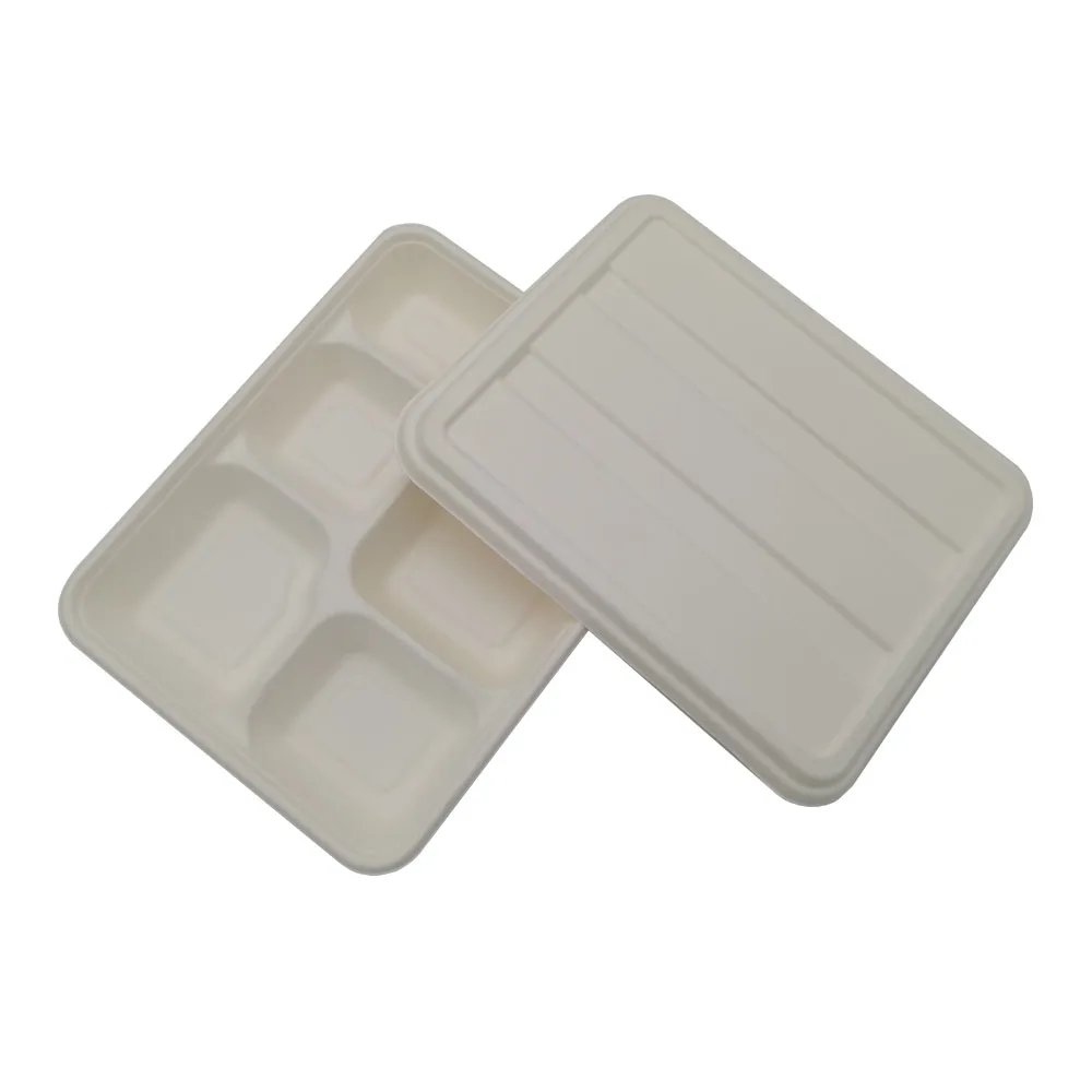 Disposable pfas free food container bagasse sugarcane paper Tray biodegradable paper pulp 5 compartment food tray