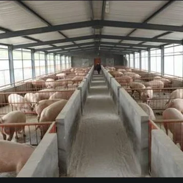 Polyurethane Polyol Isocyanate Polyurethane Raw Materials for Roof Spray Foam Pig Farm