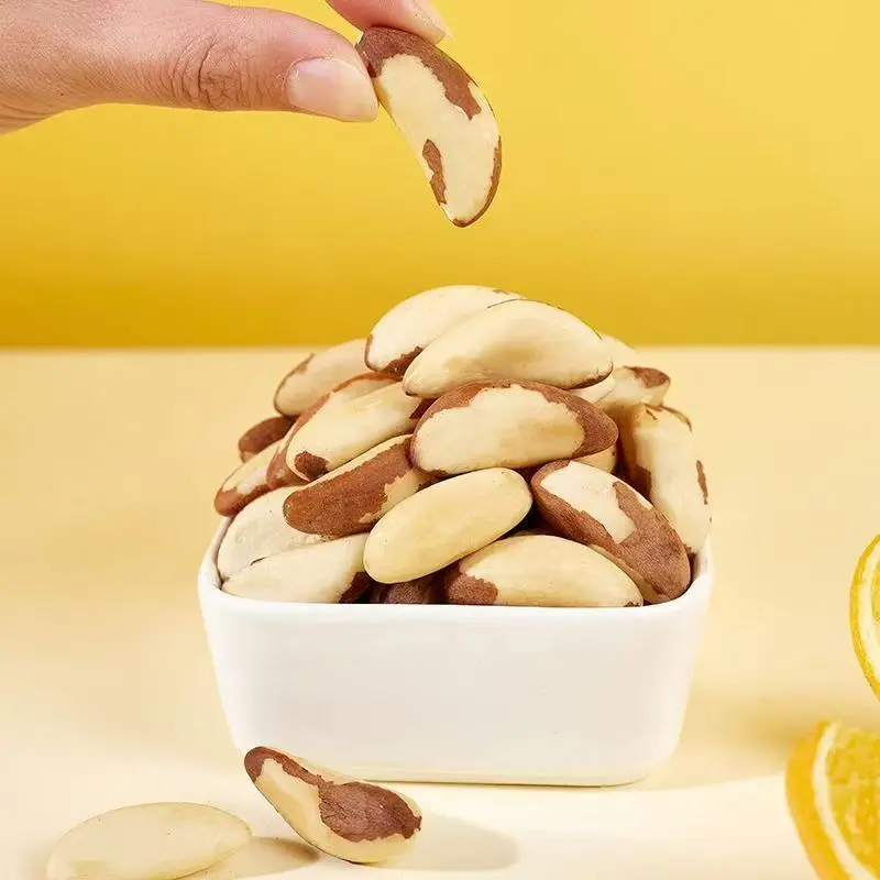 Brazilian Abalone Fruit Premium Quality Brazil Nuts