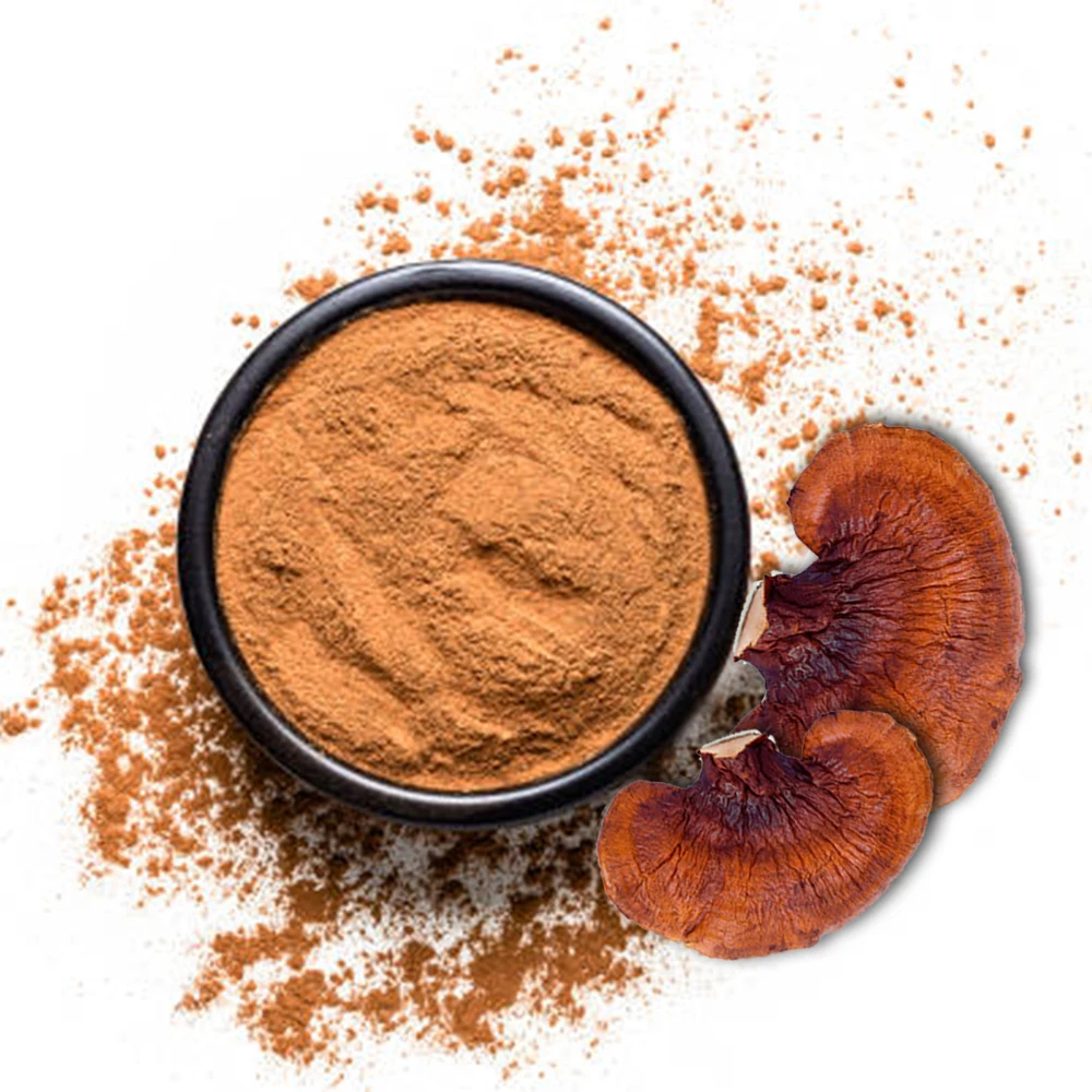 juncao planted ganoderma lucidum reishi  extract powder with polysaccharides 30% triterpenes 2% OEM