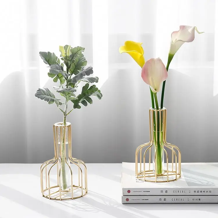 Nordic Vase Light Luxury Small Size Nordic Iron Vase Modern Plant Water Vaas Desktop Glass Vase With Metal Frwme