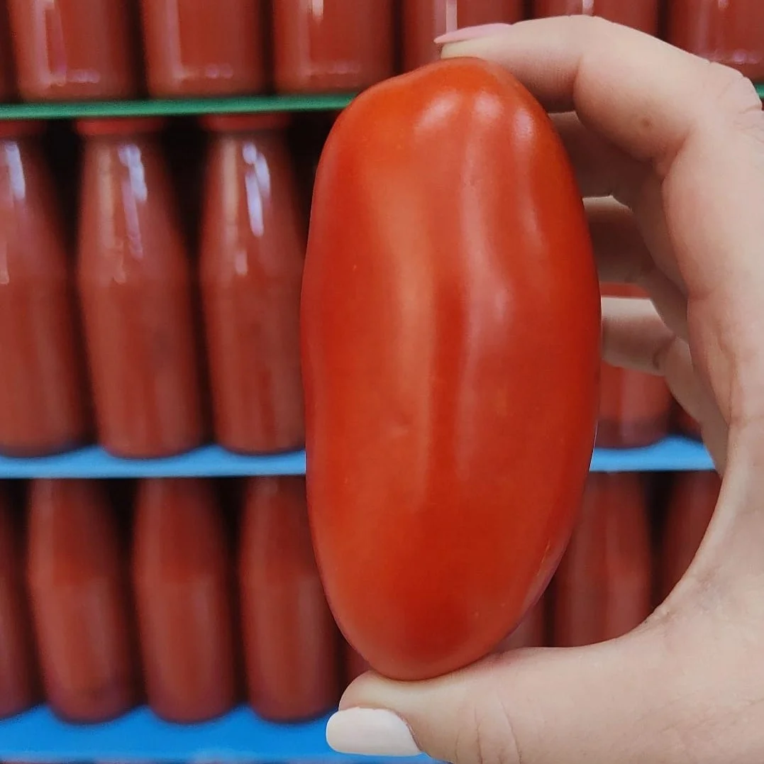 100% Made In Italy Thick Artisanal Thick And Dense Consistency Tomato Puree 700g Passata For Cooking Pasta And Pizza