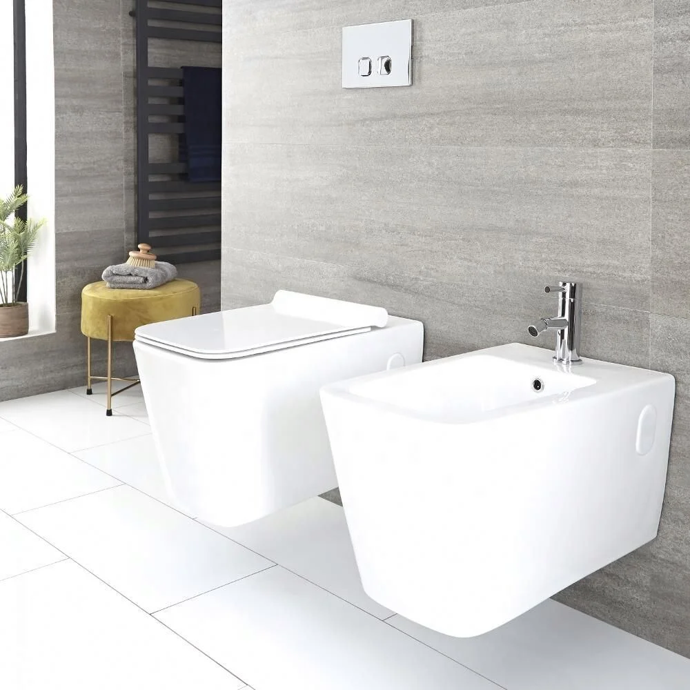 European Style Toilet Hotel Wall Hang With Concealed Water Tank And Seat Cover Uv Complete Set Remot Toilet